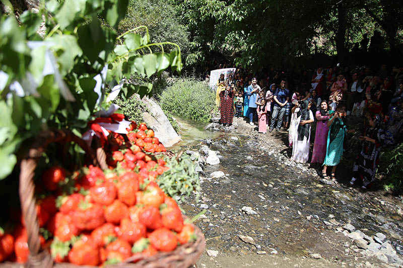 طعم شیرین شهروند افتخاری با توت فرنگی کردستان