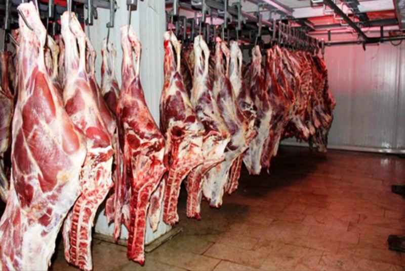 ۷۶ هزار کیلوگرم گوشت قرمز در دهلران تولید شد