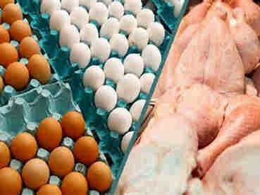 خرید مرغ و تخم مرغ از مراکز غیرمجاز خطر مسمومیت در پی دارد